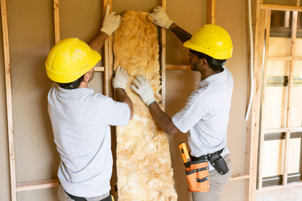 Best Professional Insulation Contractor  in Iyanbito, NM
